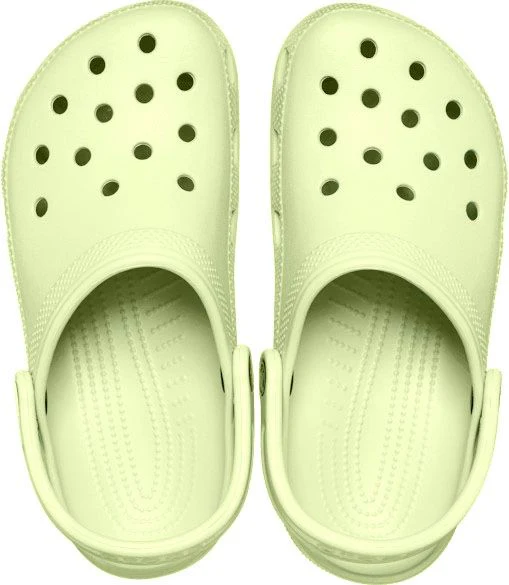 Classic Celery - Image 4