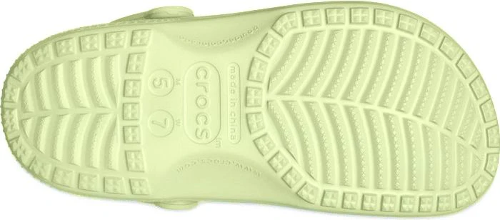 Classic Celery - Image 5
