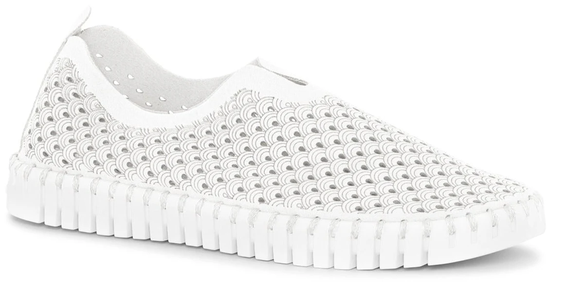 Tulip139 White