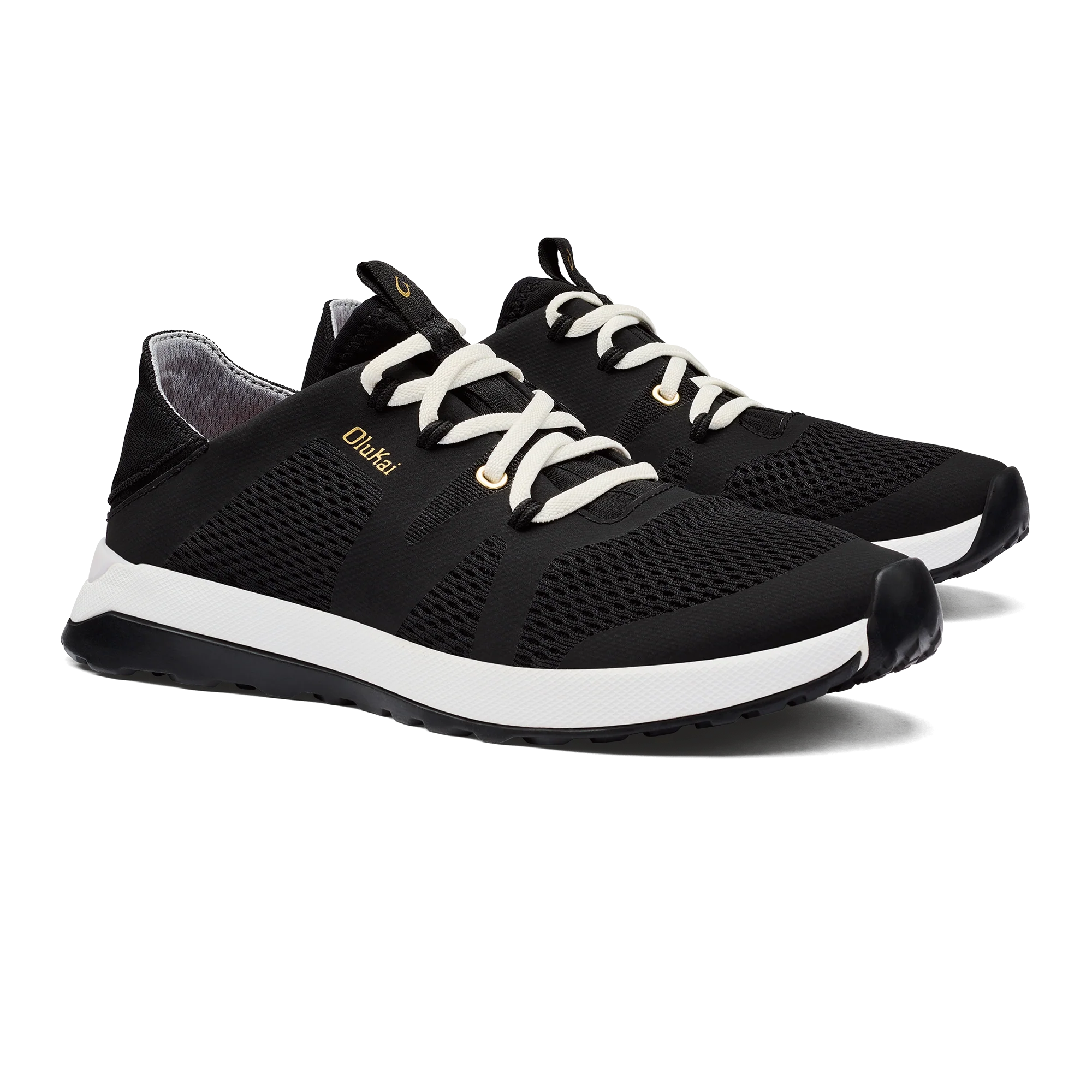 Huia Black - Image 2