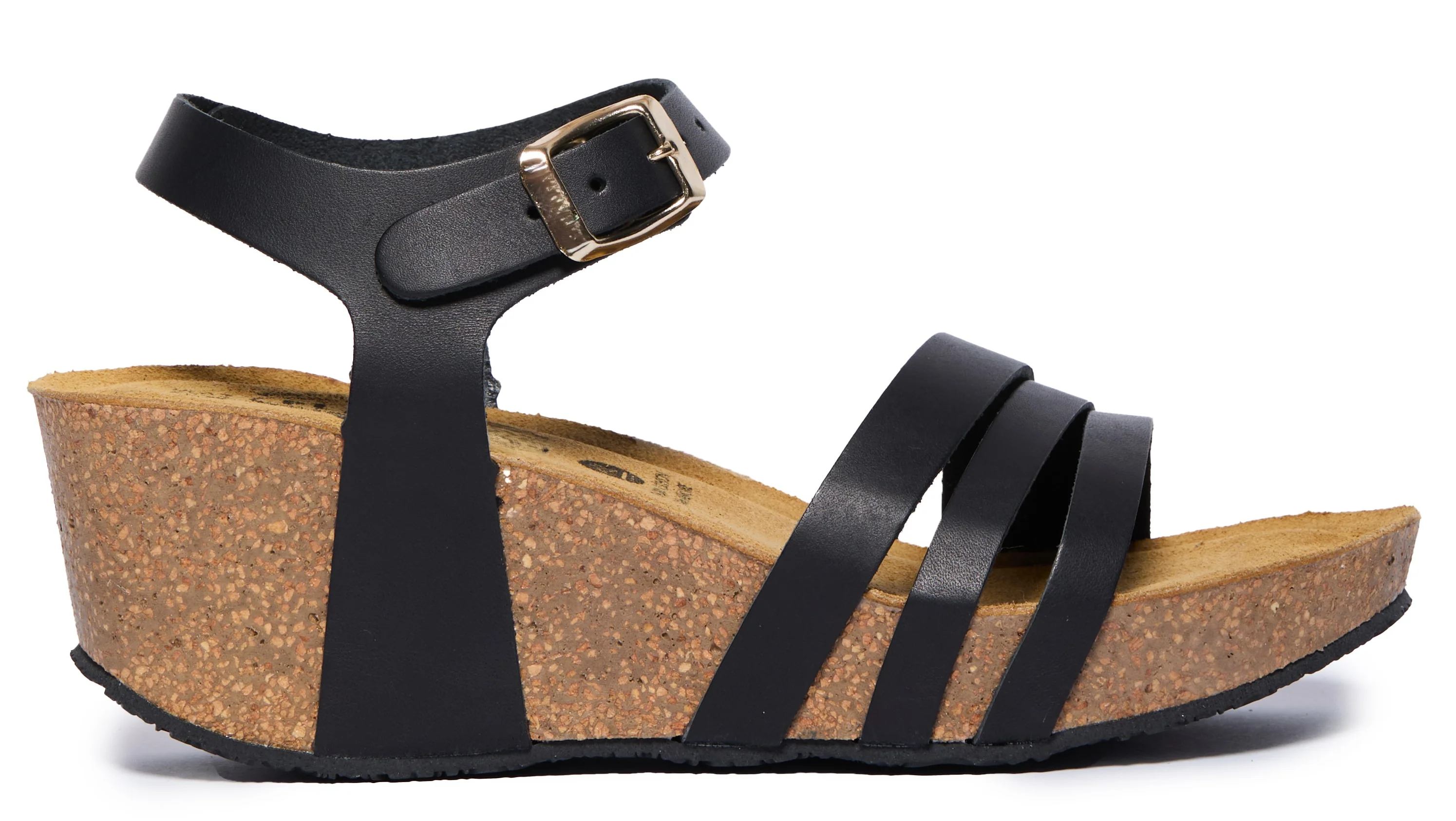 Willow Black