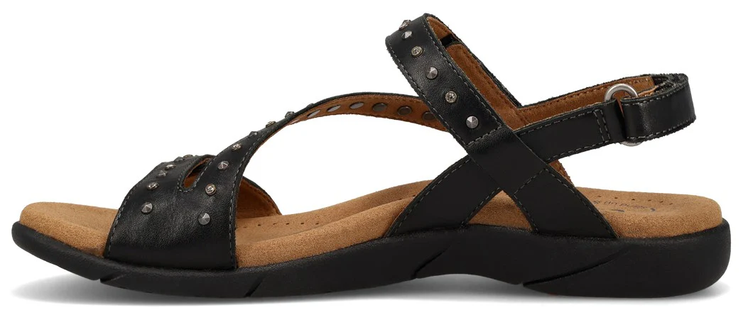 Dazzle Black - Image 3