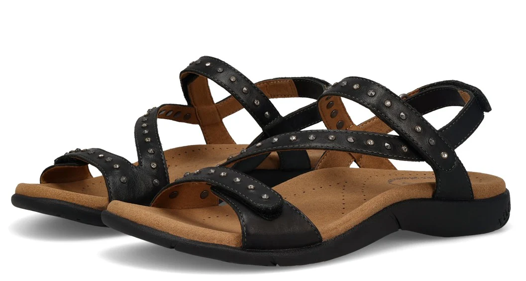 Dazzle Black - Image 4